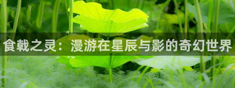 虫虫漫画免费漫画